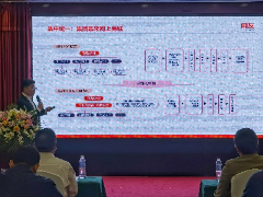 图片10 图片10