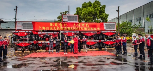 会员-2 会员-2