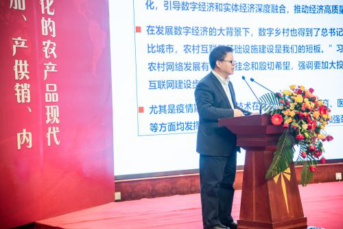 图片7
