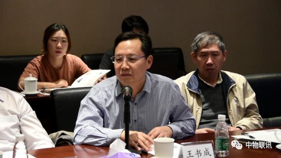 王书成
